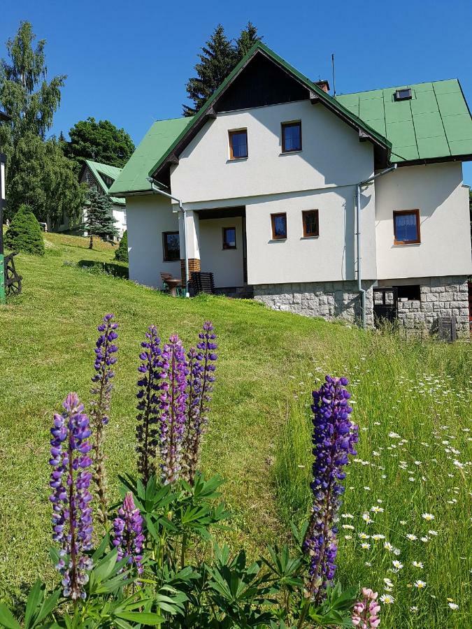 Appartement U Kobru à Špindlerŭv Mlýn Extérieur photo
