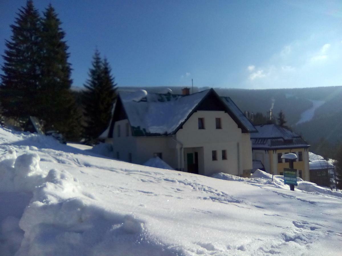 Appartement U Kobru à Špindlerŭv Mlýn Extérieur photo