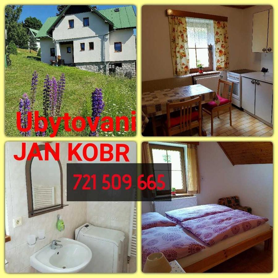 Appartement U Kobru à Špindlerŭv Mlýn Extérieur photo